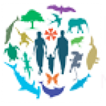 cropped-LOGO2.png